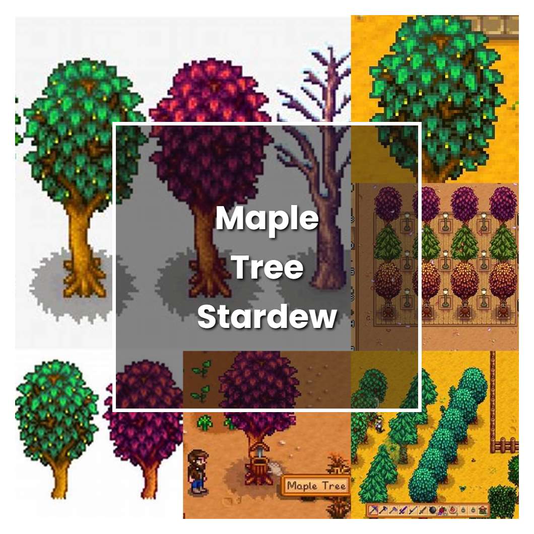 Maple Tree Stardew Valley Plant Care Grow 
