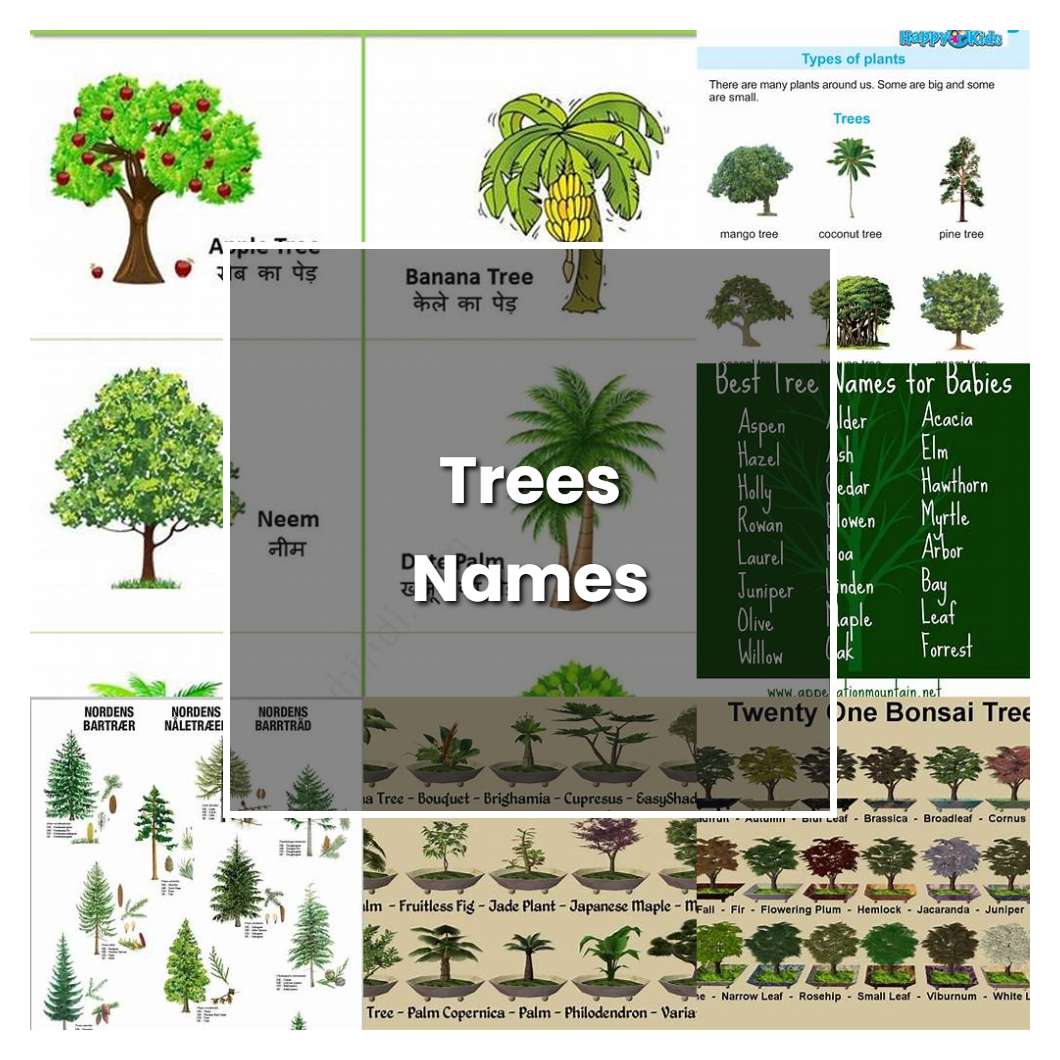 What Do You Name A Tree at Robin Braddy blog